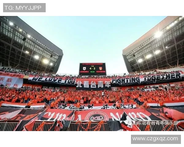 南京足球队的节奏解析与未来发展展望